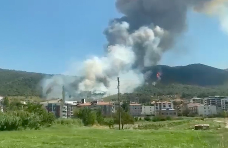 Çanakkale, Bolu ve Manisada orman yangını... Çanakkale Havalimanı uçuşa kapatıldı: Villalar küle döndü Manisa’da bir gözaltı