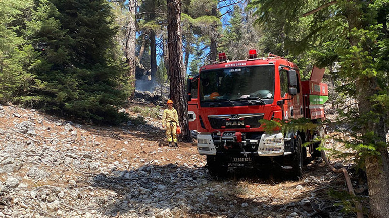Çanakkale, Bolu ve Manisada orman yangını... Çanakkale Havalimanı uçuşa kapatıldı: Villalar küle döndü Manisa’da bir gözaltı