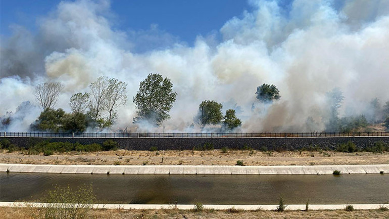 Çanakkale, Bolu ve Manisada orman yangını... Çanakkale Havalimanı uçuşa kapatıldı: Villalar küle döndü Manisa’da bir gözaltı