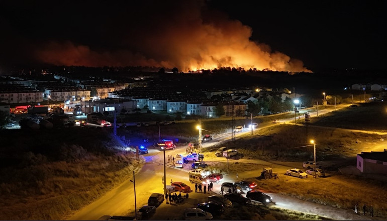 Son dakika... İzmir, Manisa ve Antalyada orman yangını 3 kişi gözaltına alındı
