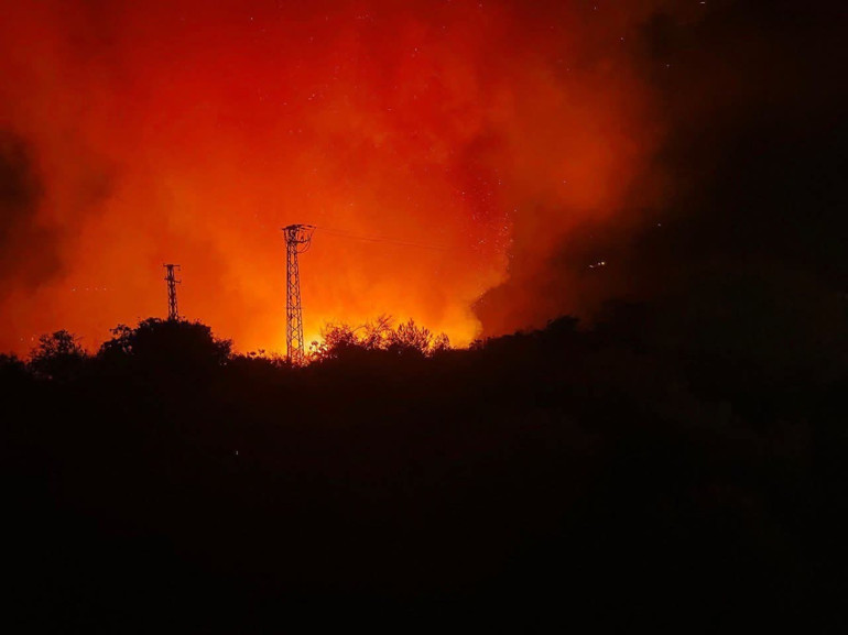 Son dakika... İzmir, Manisa ve Antalyada orman yangını 3 kişi gözaltına alındı