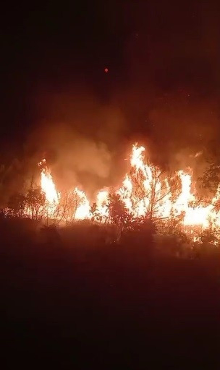 Son dakika... İzmir, Manisa ve Antalyada orman yangını 3 kişi gözaltına alındı