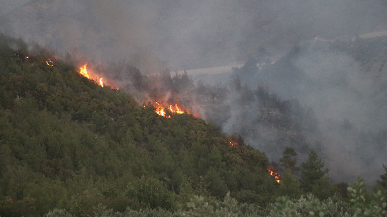 Son dakika... İzmir, Manisa ve Antalyada orman yangını 3 kişi gözaltına alındı