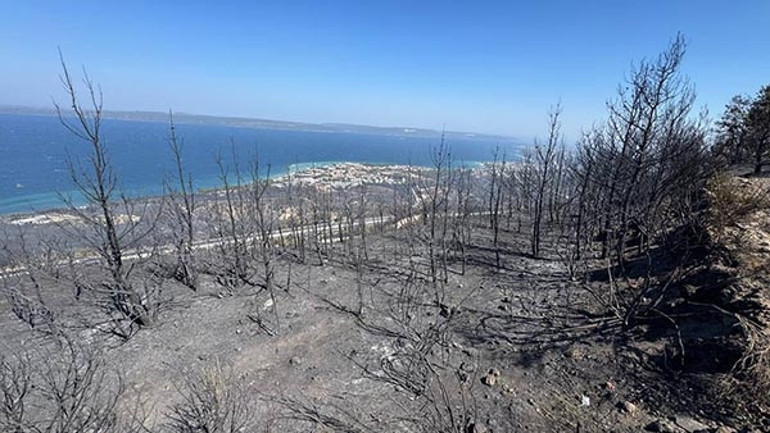 Son dakika... İzmir, Manisa ve Antalyada orman yangını 3 kişi gözaltına alındı