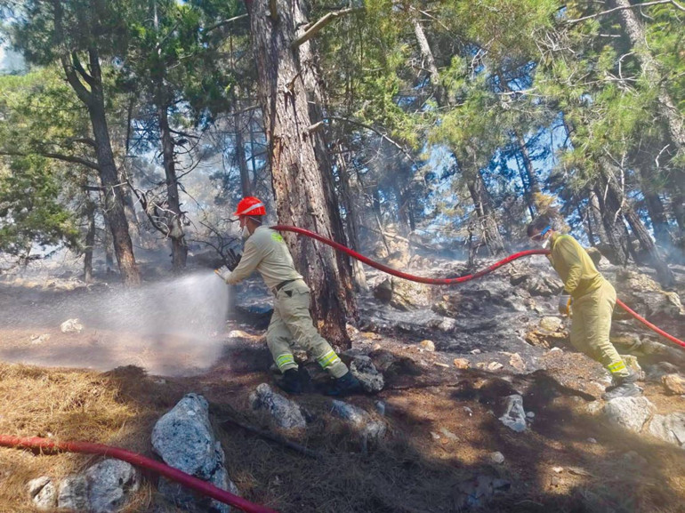Alevler yerleşim yerlerine ulaştı