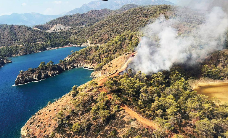 Alevler yerleşim yerlerine ulaştı