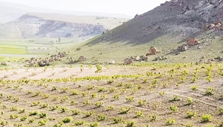 Gastronomi kazanında kaynayanlar