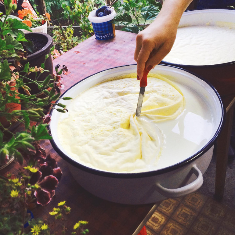 Gastronomi kazanında kaynayanlar