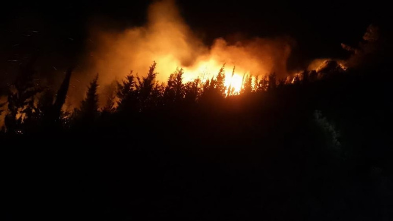 Orman yangınlarında son durum... Alevlerle mücadele devam ediyor Kocaelideki yangının enerjisi düştü