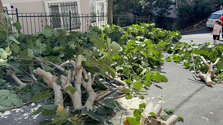 Kuvvetli fırtına devam ediyor Meteoroloji 13 kentte alarm verdi | Gök gürültülü sağanak geliyor