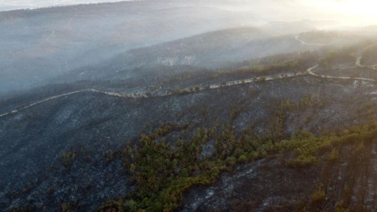 Çanakkaledeki orman yangınında zarar gören alanlar görüntülendi