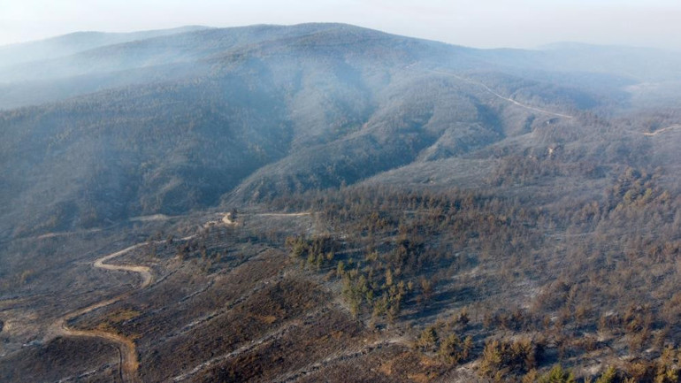 Çanakkaledeki orman yangınında zarar gören alanlar görüntülendi