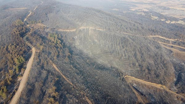 Çanakkaledeki orman yangınında zarar gören alanlar görüntülendi