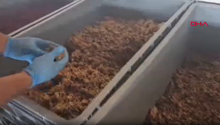 Ankarada 4,5 ton kaçak nargile tütünü ele geçirildi