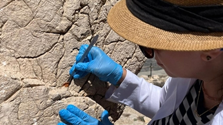 Apollona nano estetik: Nemrut’un simgeleri güzelleşti