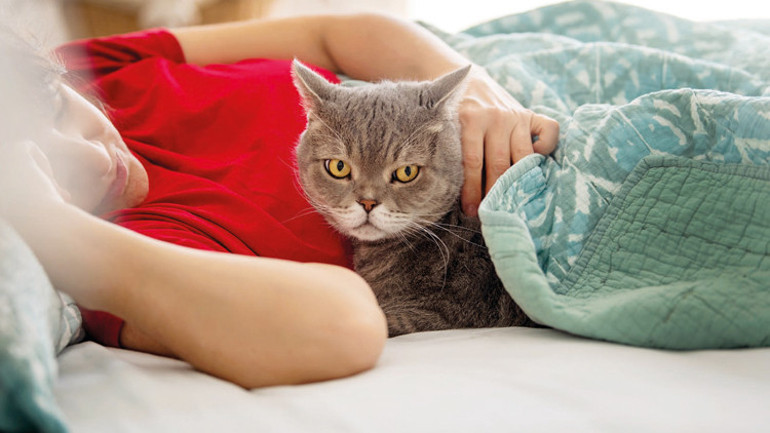 Kediniz bunu yapıyorsa uyku apneniz olabilir