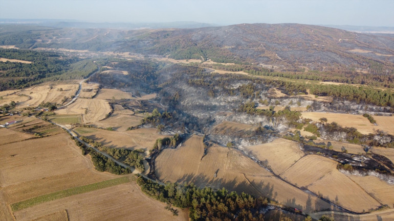 Geliboludaki orman yangını büyük ölçüde kontrol altında Yanan alanlar dronla görüntülendi