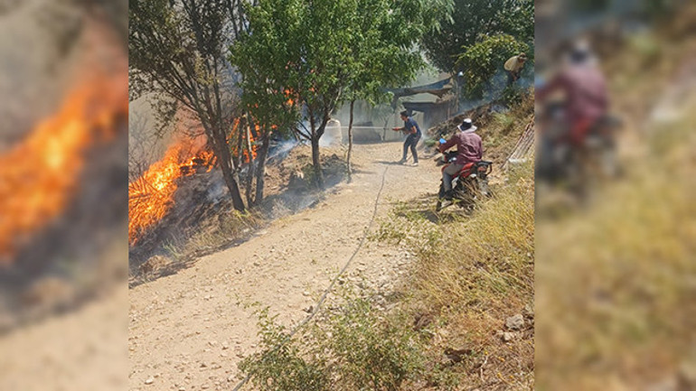 Son dakika... Rüzgarın etkisiyle alevler büyüdü 3 ilde orman yangınları... Havadan ve karadan mücadele ediliyor