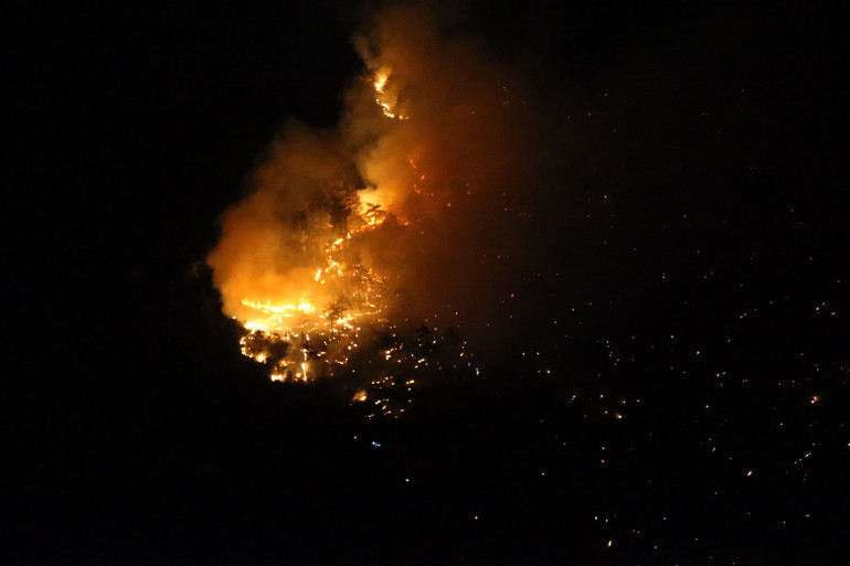 Denizli'nin Pamukkale ilçesinde orman yangını