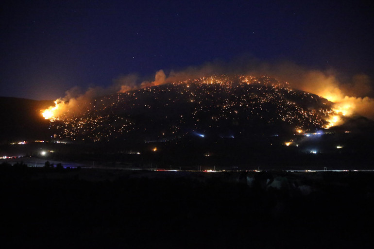 Denizli'nin Pamukkale ilçesinde orman yangını
