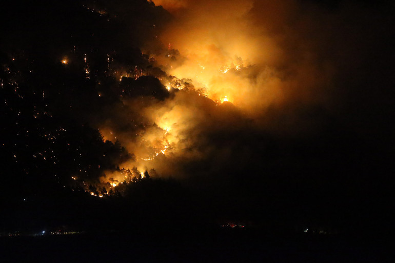 Denizli'nin Pamukkale ilçesinde orman yangını