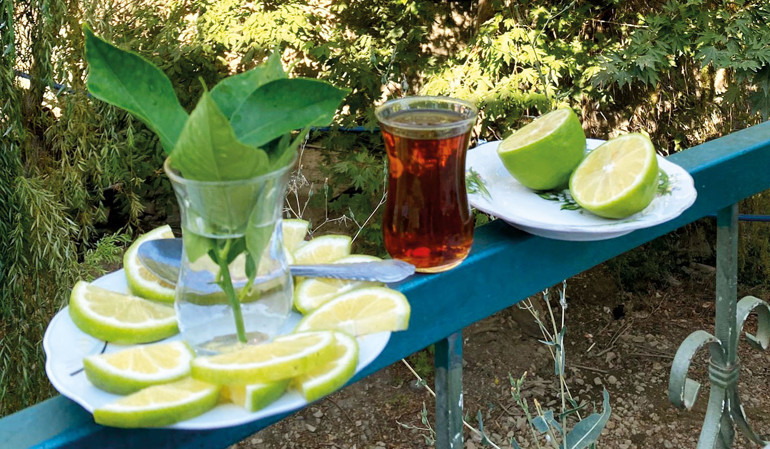 Nahçıvan'ın Limonları