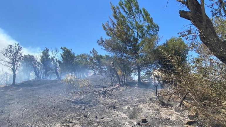 3 ilede orman yangını kontrol altına alındı