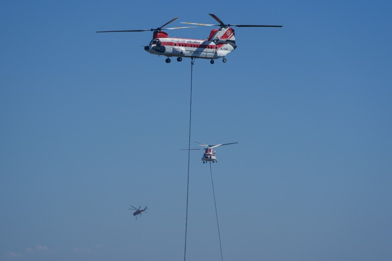 3 ilede orman yangını kontrol altına alındı