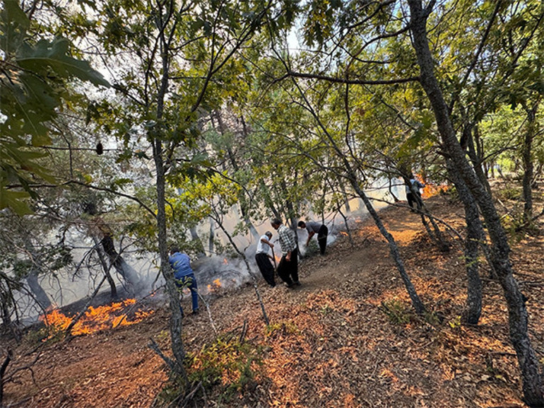 3 ilede orman yangını kontrol altına alındı