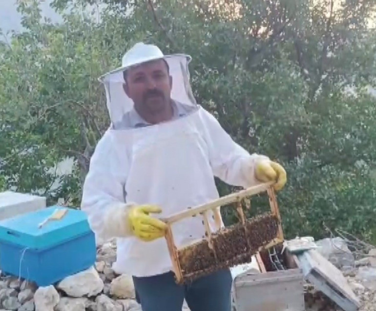 Üretici 100 bin lira zarara uğradı: Her yıl ayı saldırısına uğruyoruz