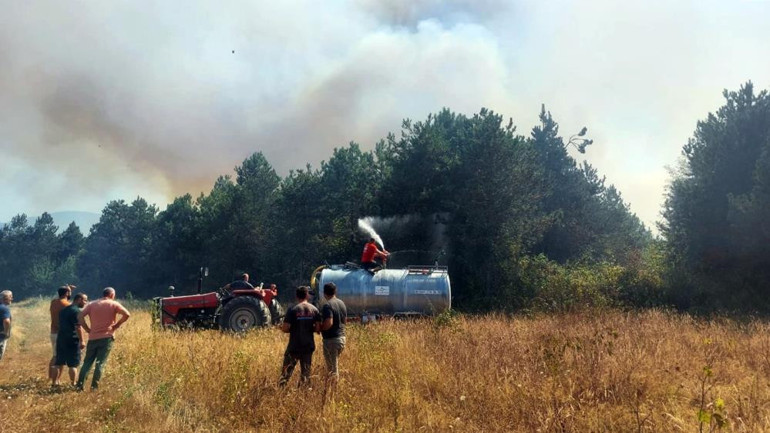 Sakaryada orman yangını