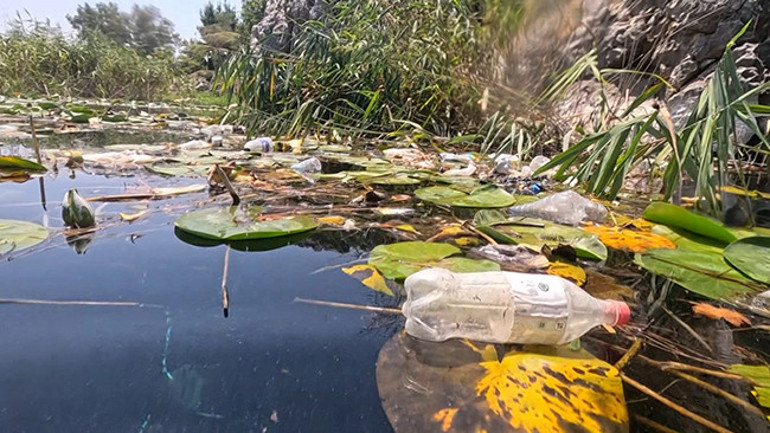 Antalyada korkunç manzara Son zamanlarda giderek artıyor dedi ve uyardı