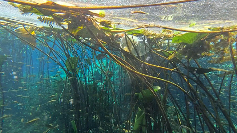 Antalyada korkunç manzara Son zamanlarda giderek artıyor dedi ve uyardı