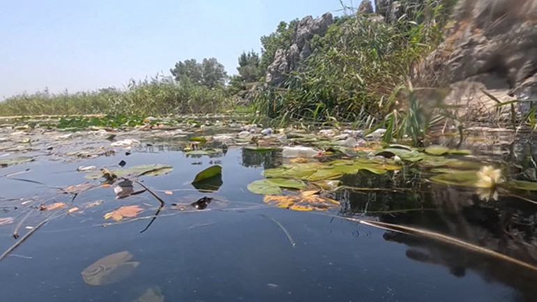 Antalyada korkunç manzara Son zamanlarda giderek artıyor dedi ve uyardı