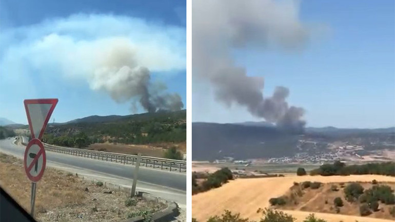 Bursa’da orman yangını
