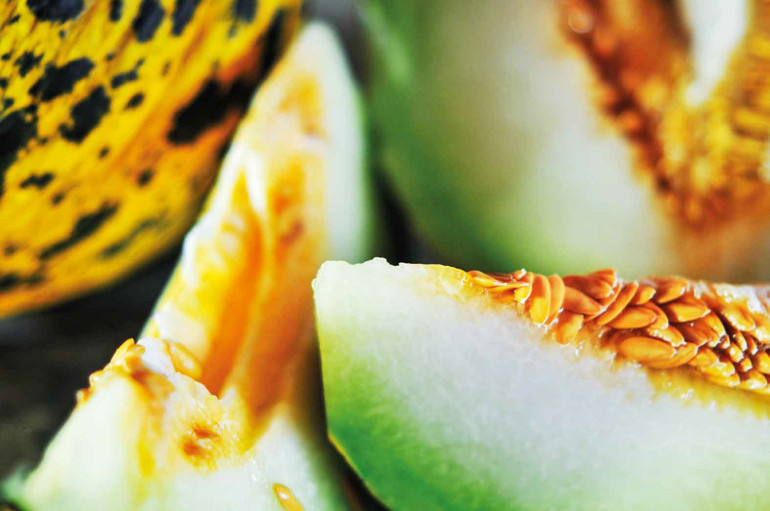 Gastronomi kazanında kaynayanlar