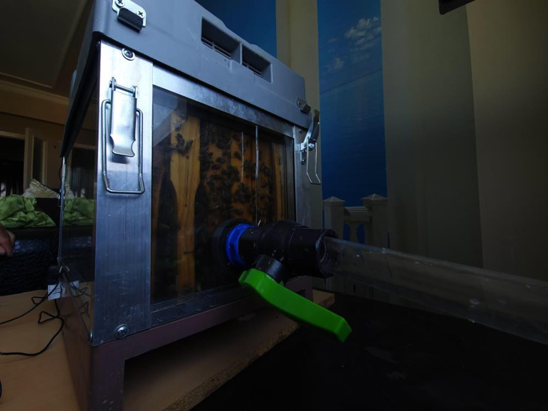 Arıların güvenli alanda beslenmesi