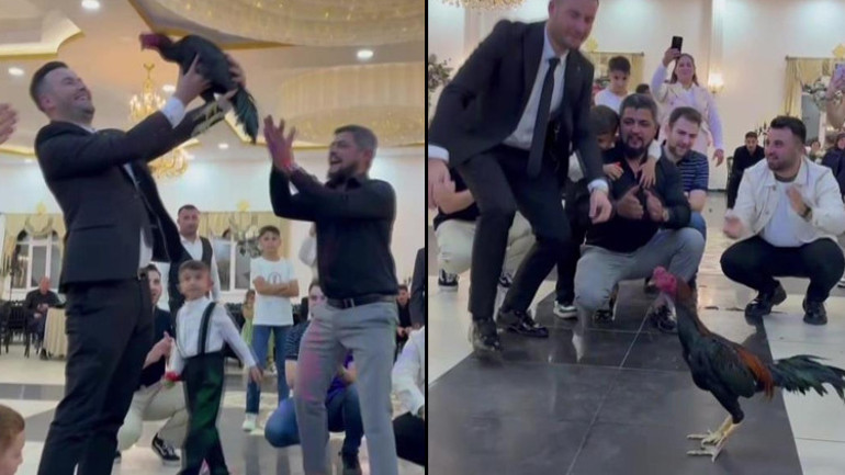 Düğün hediyesi olarak hediye edilen horoz