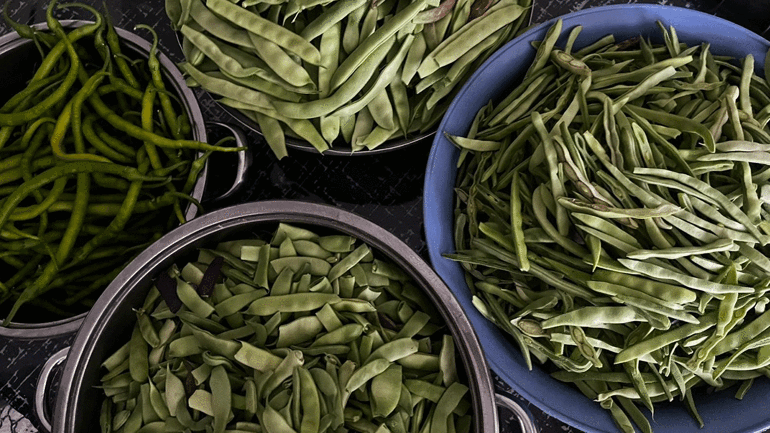 Bayburtlu kadınlar kışlık turşu hazırlıklarına başladı