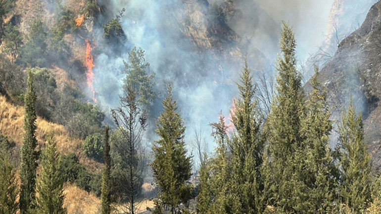 Denizli, Kastamonu ve Karabükte orman yangını Ekiplerin müdahalesi sürüyor
