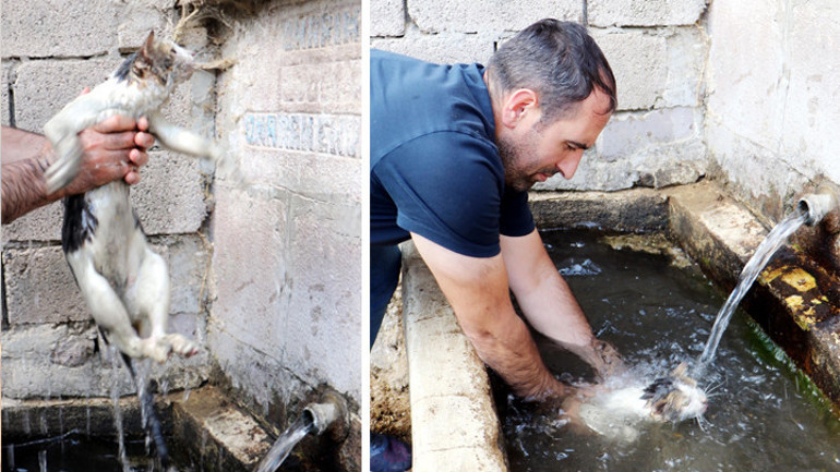 Kedinin kurtarılma anı