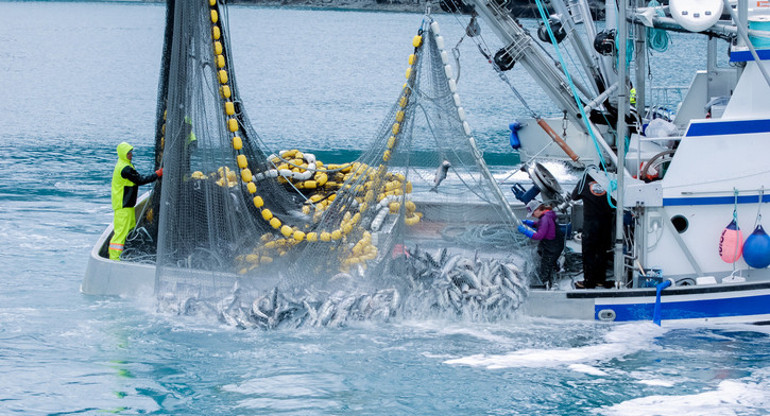 Marmara Denizi’nin yüzeyini kaplayan tehlike: Vatandaşın cebini yakacak | Sıkıntılı günler bizi bekliyor