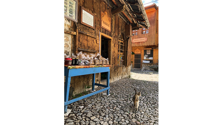 Bir Kemaliye masalı