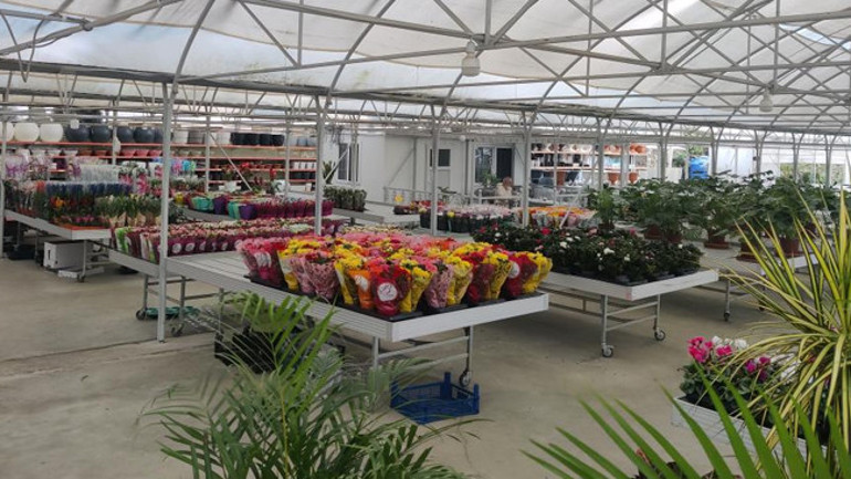 Memleketi Rizeye döndü hayatı bir kaktüsle değişti Yağmur bölgesi olmaz dediler, şimdi haritadan bulan geliyor