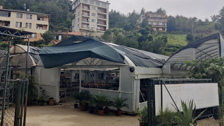 Memleketi Rizeye döndü hayatı bir kaktüsle değişti Yağmur bölgesi olmaz dediler, şimdi haritadan bulan geliyor