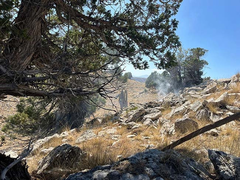 Düzce, Bursa ve Burdurda orman yangını