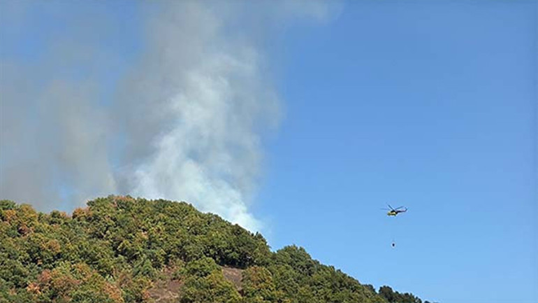 Düzce, Bursa ve Burdurda orman yangını