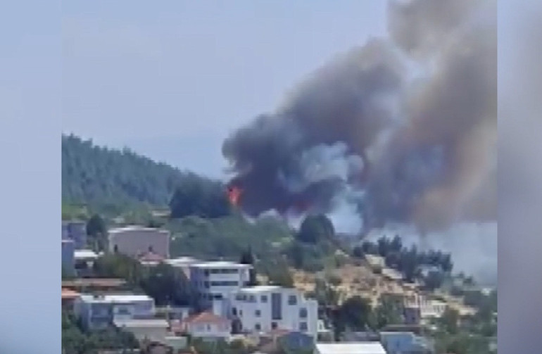 Son dakika... Bursada orman yangını Rüzgarın etkisiyle ilerliyor