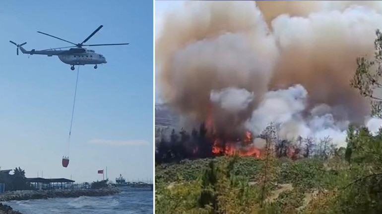 Son dakika... Bursada orman yangını Rüzgarın etkisiyle ilerliyor