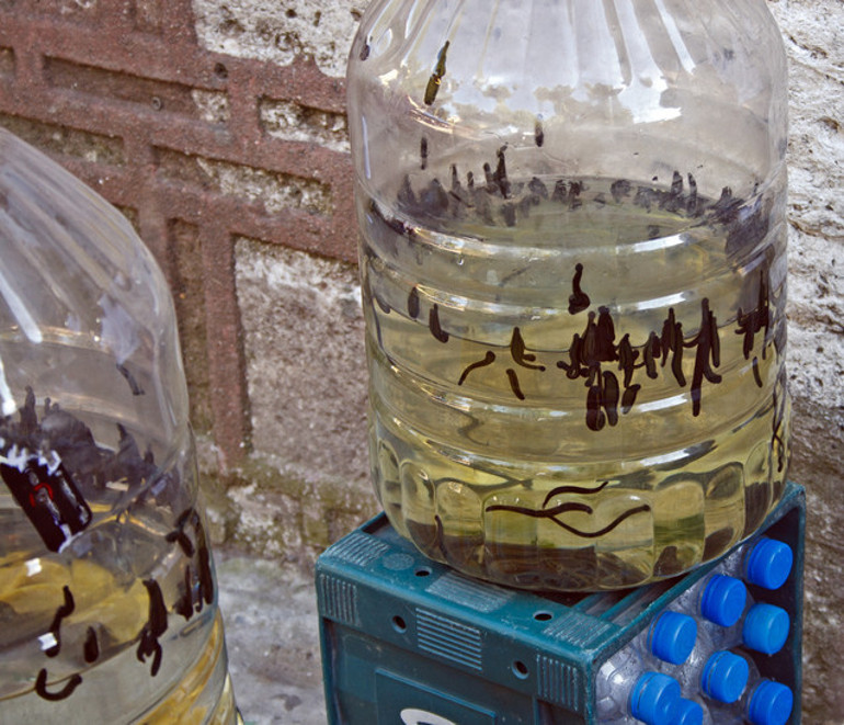 2500 yıllık gelenek can alıyor Enfeksiyon tüm vücudunu sardı, 7 ameliyatla hayata döndü Uzmanlardan kritik 10 uyarı